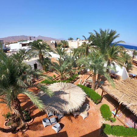 Miramar Camp Dahab 호텔 외부 사진
