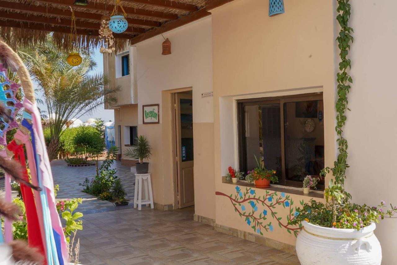 Miramar Camp Dahab 호텔 외부 사진