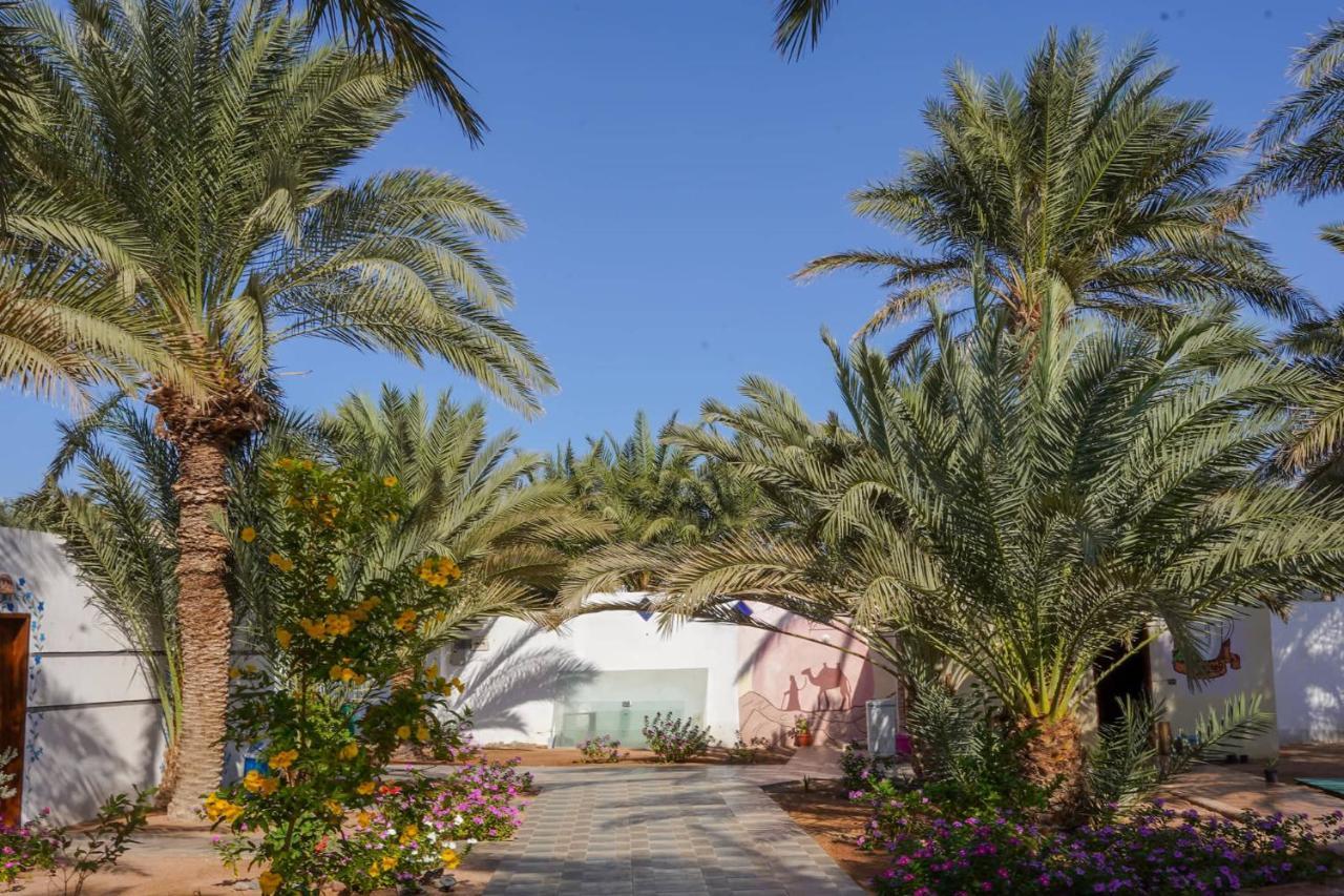 Miramar Camp Dahab 호텔 외부 사진