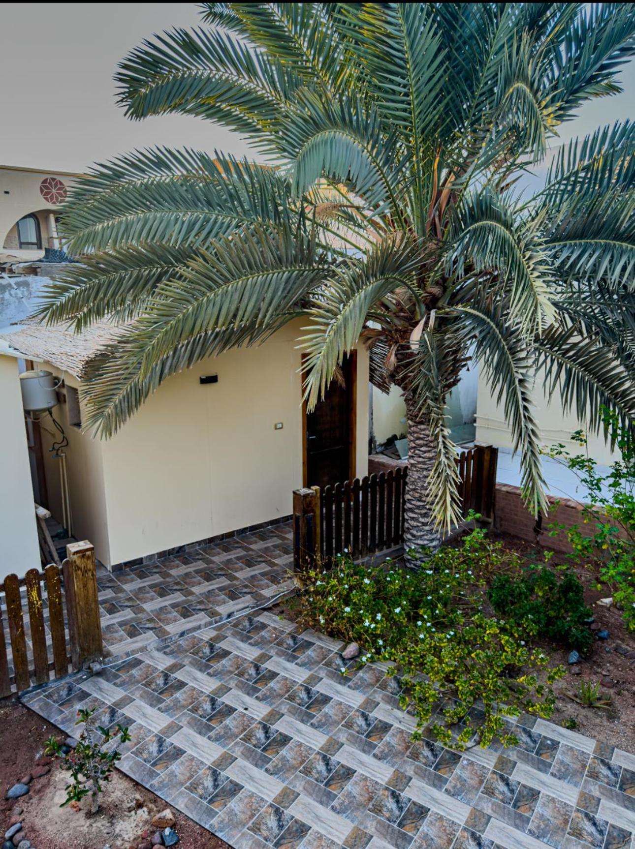 Miramar Camp Dahab 호텔 외부 사진