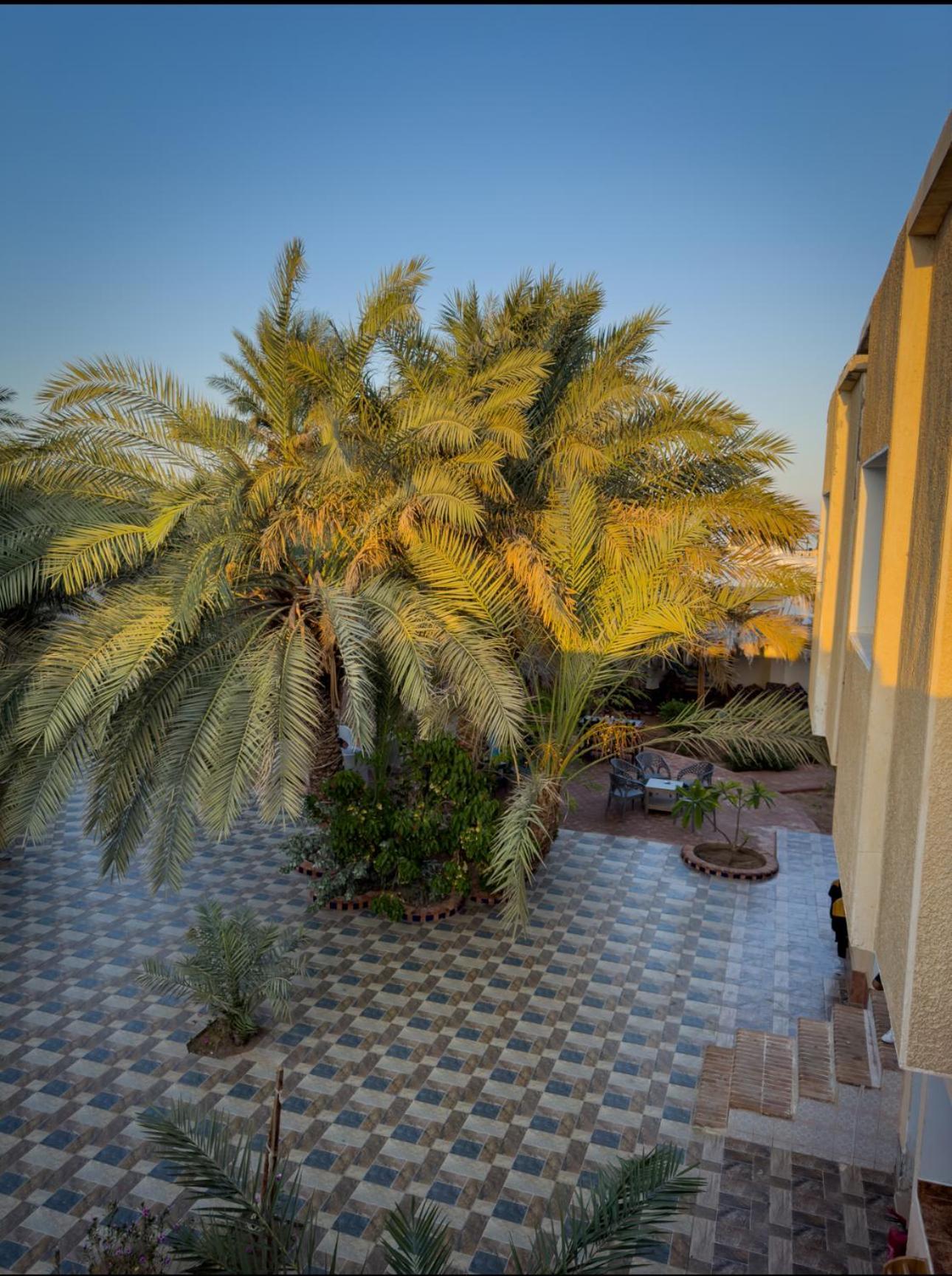 Miramar Camp Dahab 호텔 외부 사진
