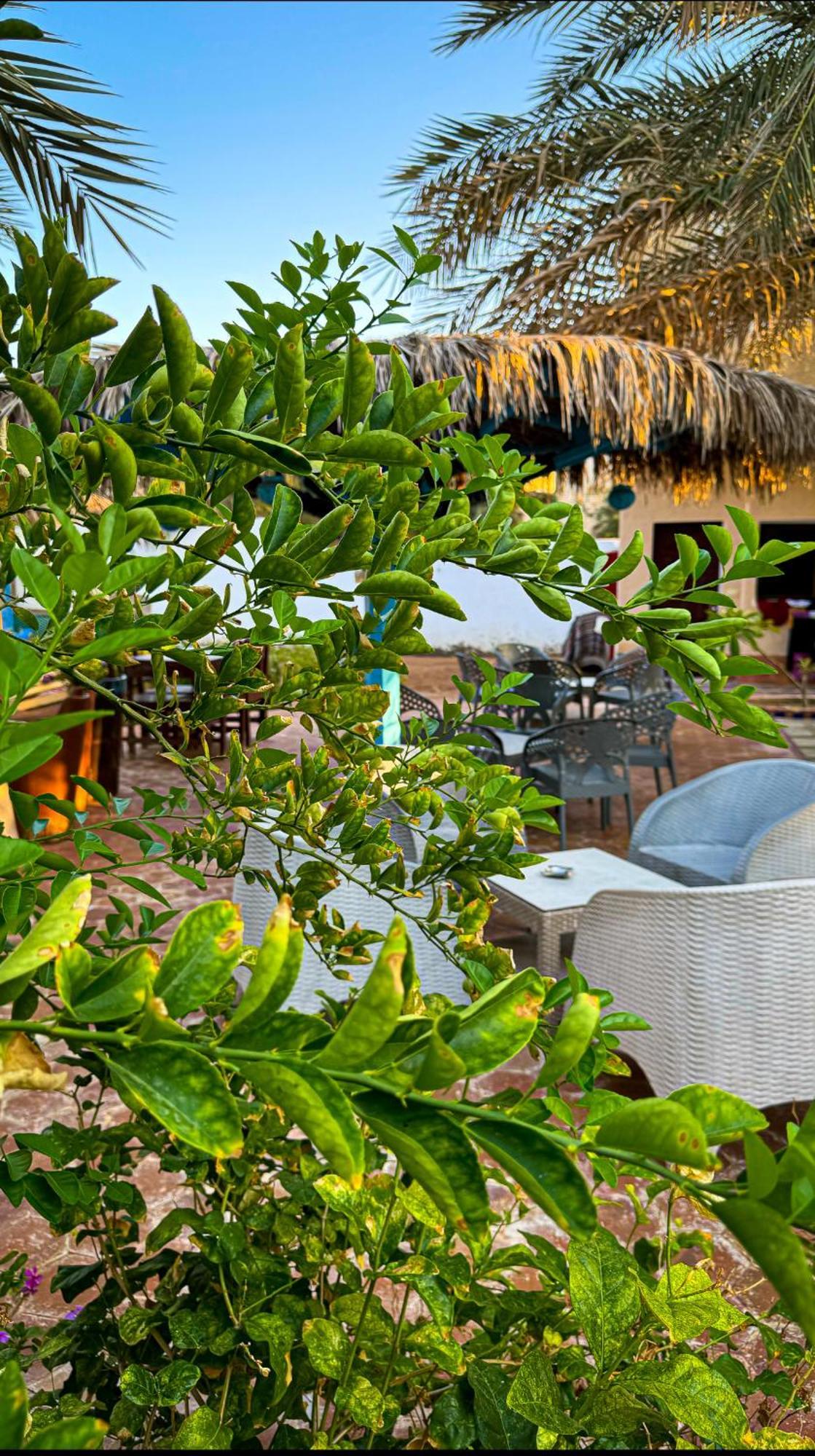 Miramar Camp Dahab 호텔 외부 사진