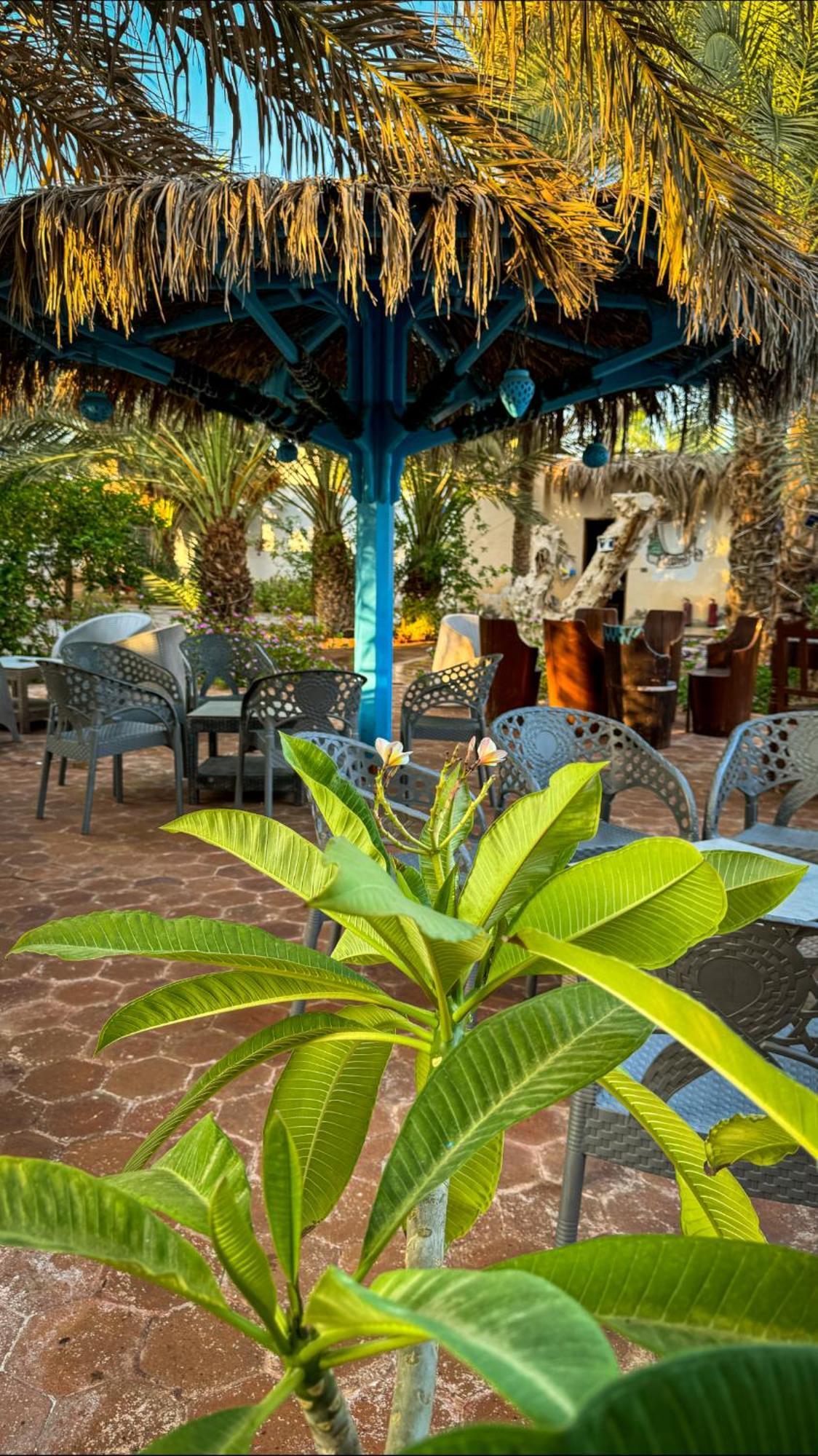 Miramar Camp Dahab 호텔 외부 사진