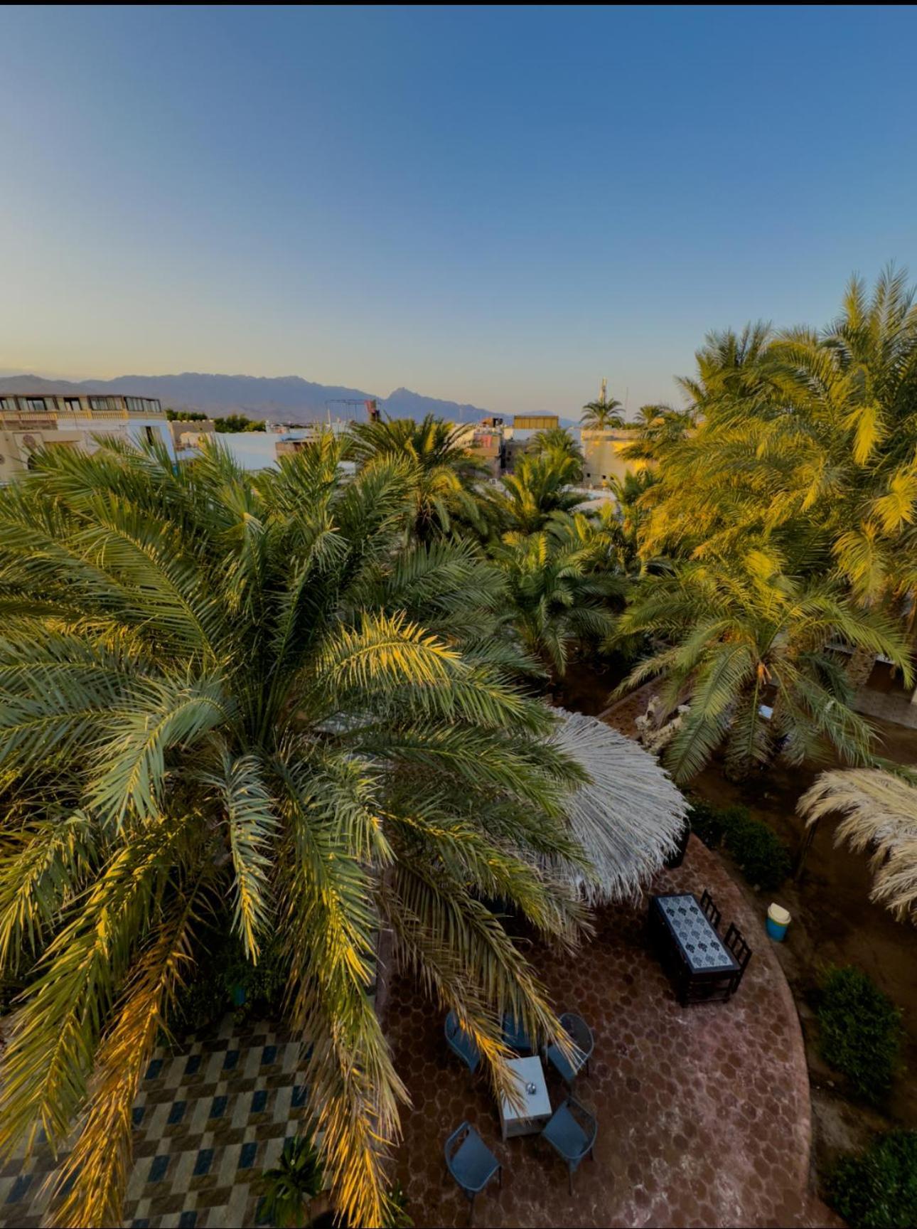 Miramar Camp Dahab 호텔 외부 사진