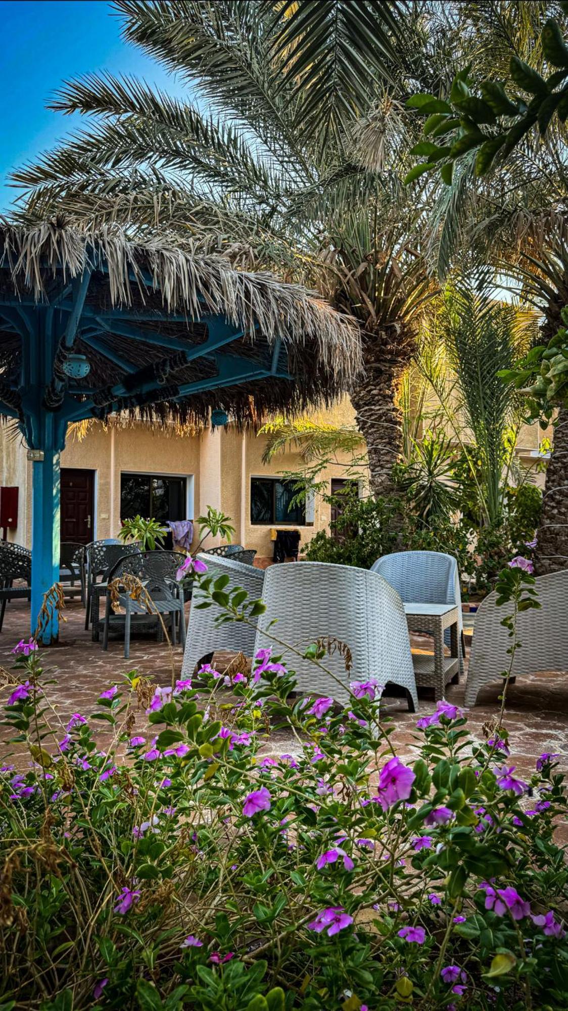 Miramar Camp Dahab 호텔 외부 사진