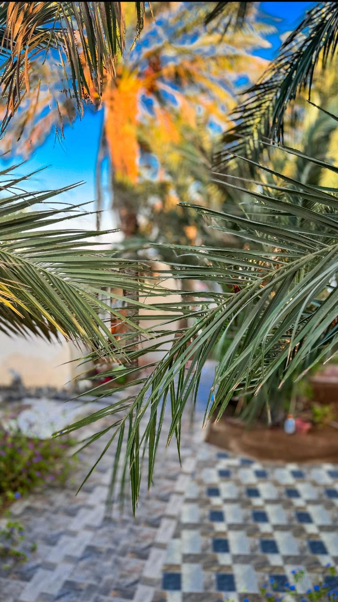 Miramar Camp Dahab 호텔 외부 사진