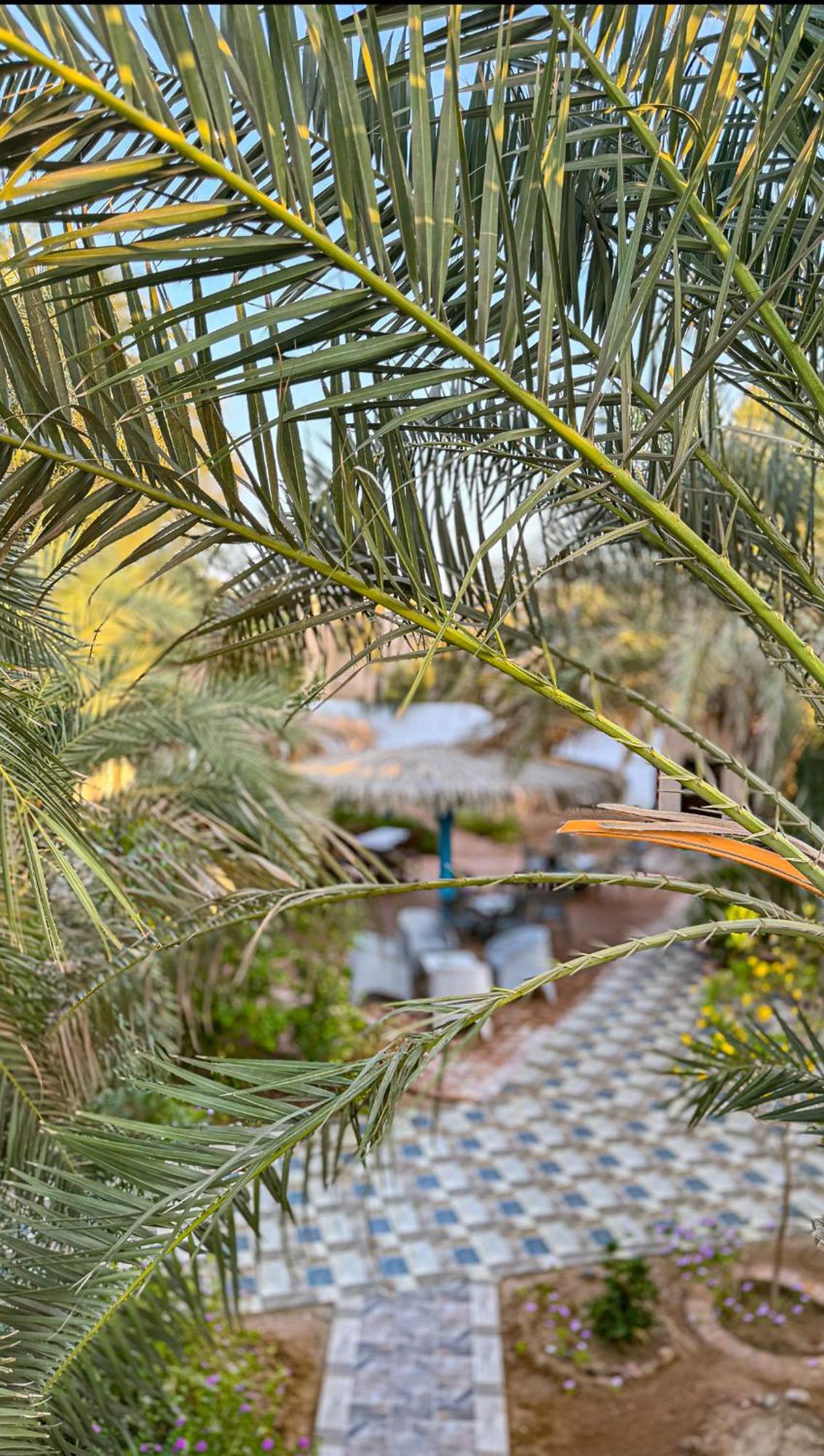 Miramar Camp Dahab 호텔 외부 사진