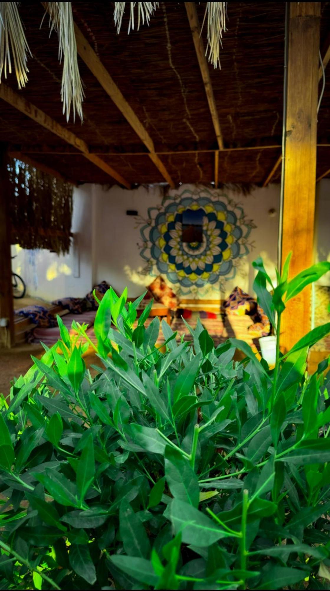 Miramar Camp Dahab 호텔 외부 사진