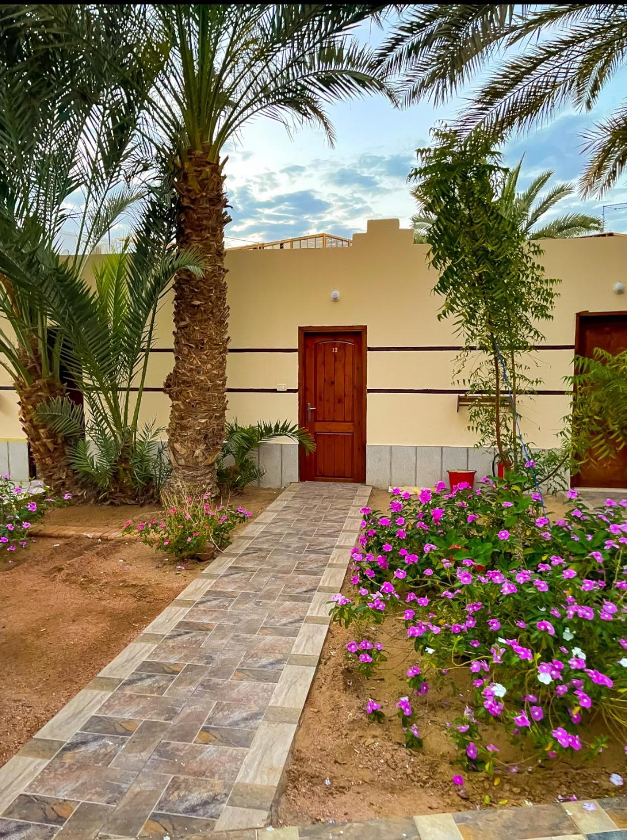 Miramar Camp Dahab 호텔 외부 사진