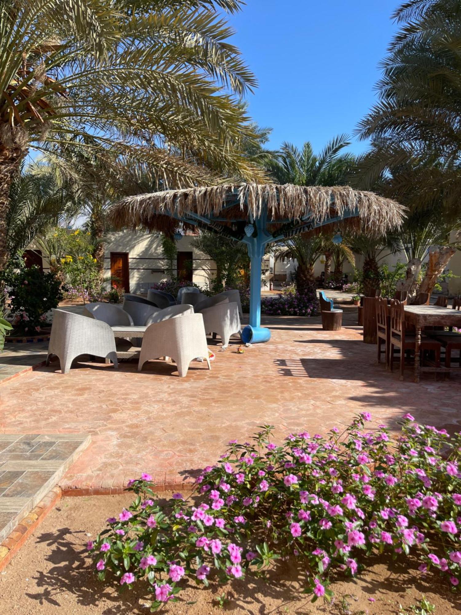Miramar Camp Dahab 호텔 외부 사진