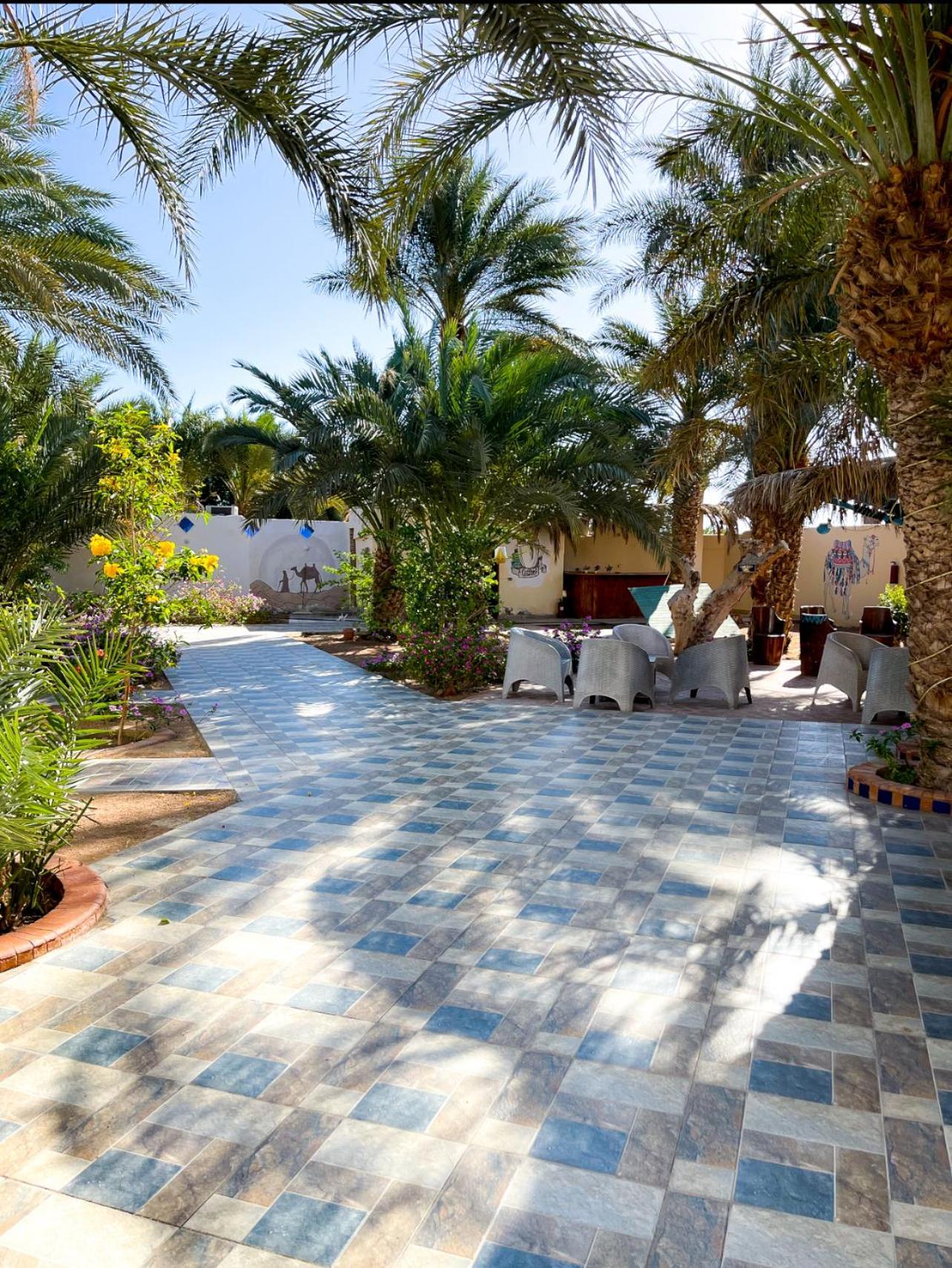 Miramar Camp Dahab 호텔 외부 사진